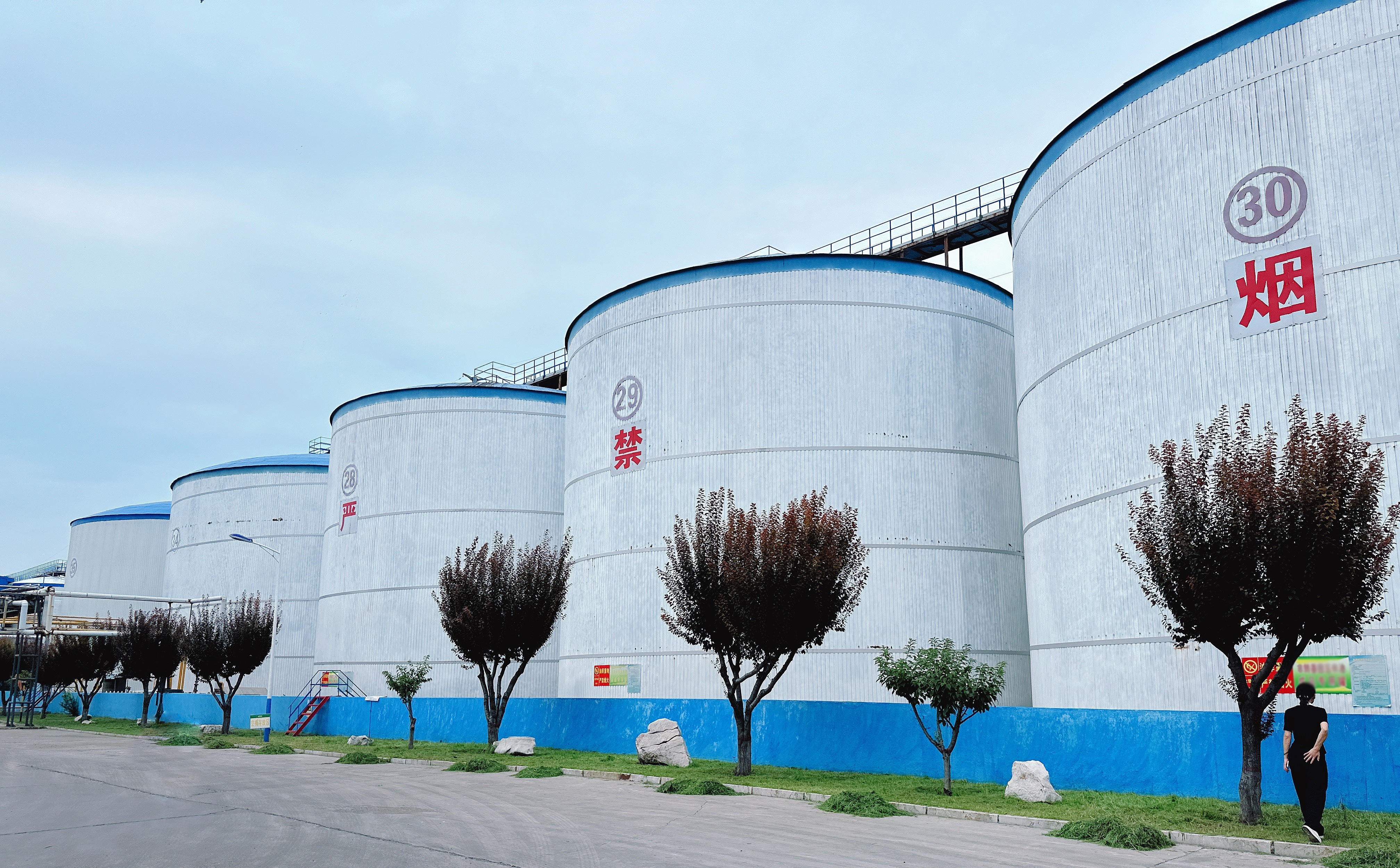 奋战开门红｜产融公司携手山东投资，助力粮油企业高质量发展  